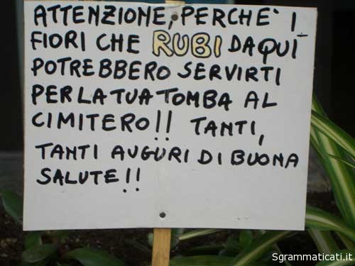 Sgrammaticati.it ATTENZIONE PERCHE I FIORI CHE RUBI A'ttensione sgrammaticati  tomba rubi cimitero attenzione 