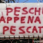 Sgrammaticati.it MEGLIO UN PASSATO DI VERDURE CHE UN FUTURO DI MERDA Scritte sui Muri sgrammaticati  
