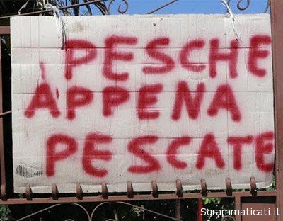 Sgrammaticati.it PESCHE APPENA PESCATE Foto Divertenti sgrammaticati  