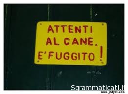 Sgrammaticati.it ATTENTI AL CANE E FUGGITO!!! Foto Divertenti sgrammaticati  