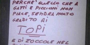 Sgrammaticati.it DI ZOCCOLE NEL PALAZZO CE NE STANNO TROPPE Cartelli Divertenti sgrammaticati  zoccole 