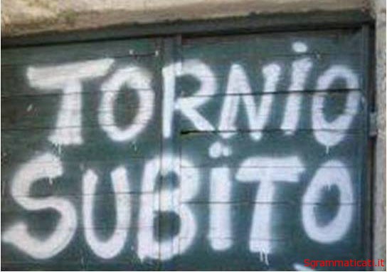 Sgrammaticati.it TORNIO SUBITO!! Anal'fabeti sgrammaticati  